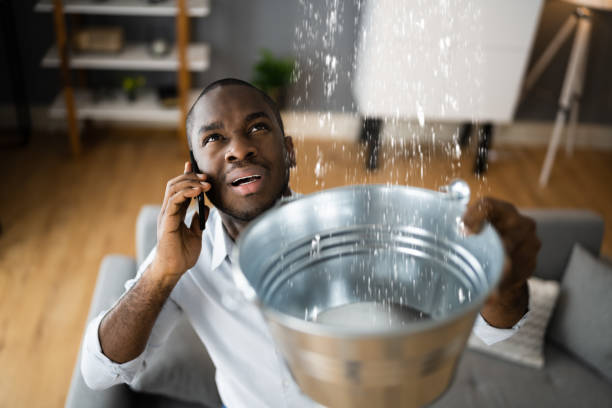 Best Basement water damage restoration  in Milford, UT