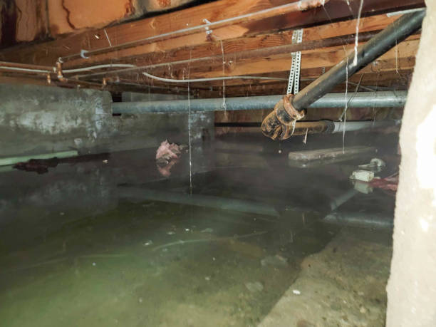 Best Water damage restoration near me  in Milford, UT