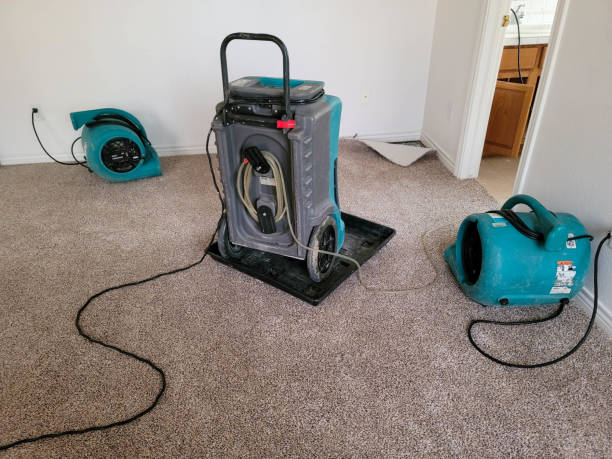 Best 24-hour water damage restoration  in Milford, UT