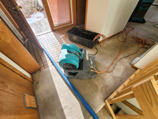 Best Mold removal after water damage  in Milford, UT