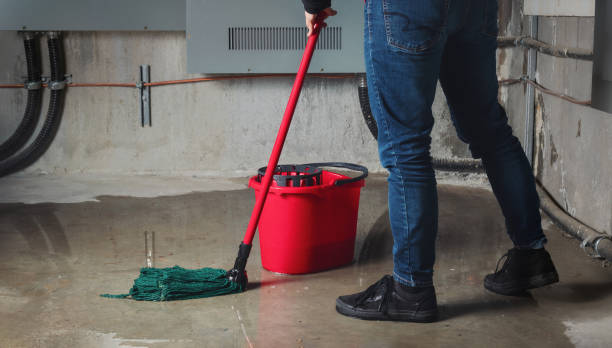 Best Professional water damage repair  in Milford, UT