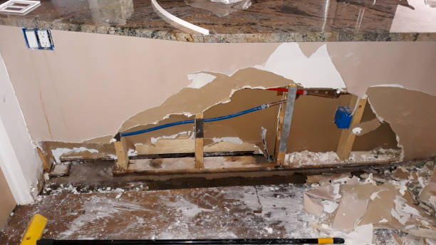 Best Carpet water damage restoration  in Milford, UT