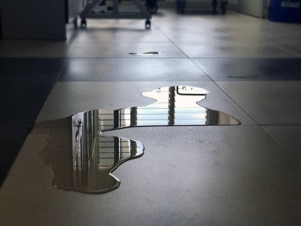 Best Water damage cleanup near me  in Milford, UT
