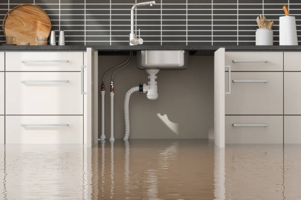 Best Carpet water damage restoration  in Milford, UT