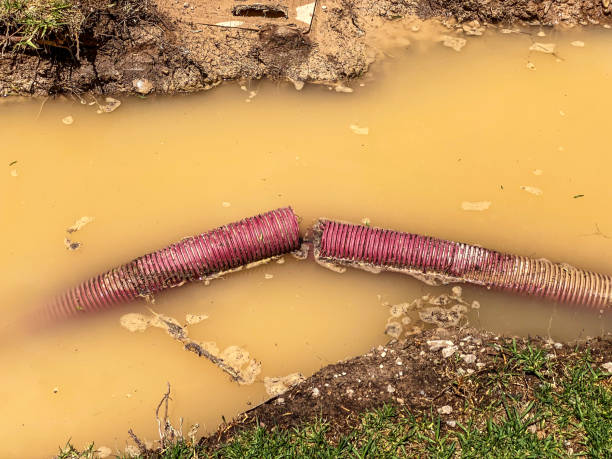Best Flood damage cleanup  in Milford, UT